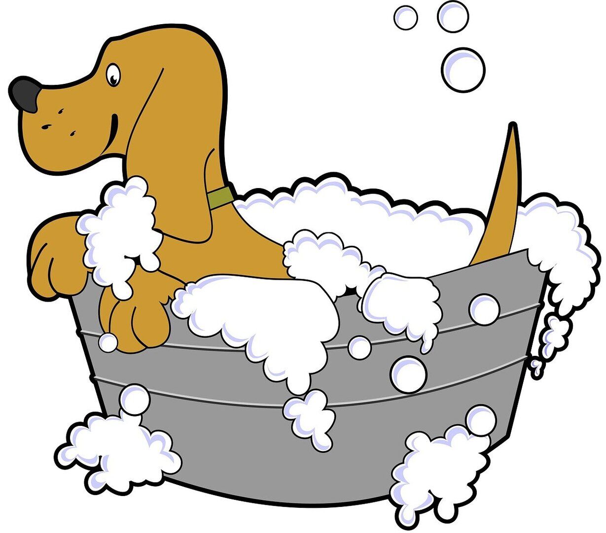 SHAMPOO MASCOTAS
